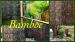 Black Bamboo tuinscherm Black Bamboo tuinscherm